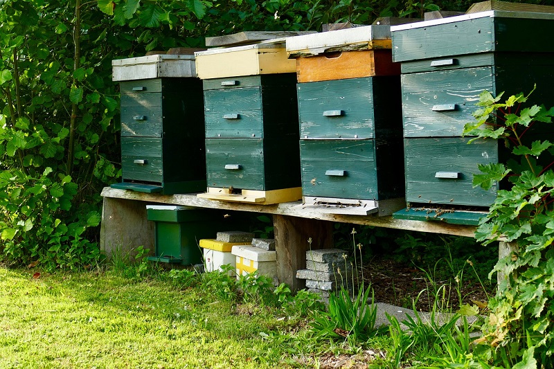 Čebelarstvo je pri nas opredeljeno kot tradicionalna kmetijska dejavnost