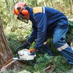 varnostni gozdarski čevlji